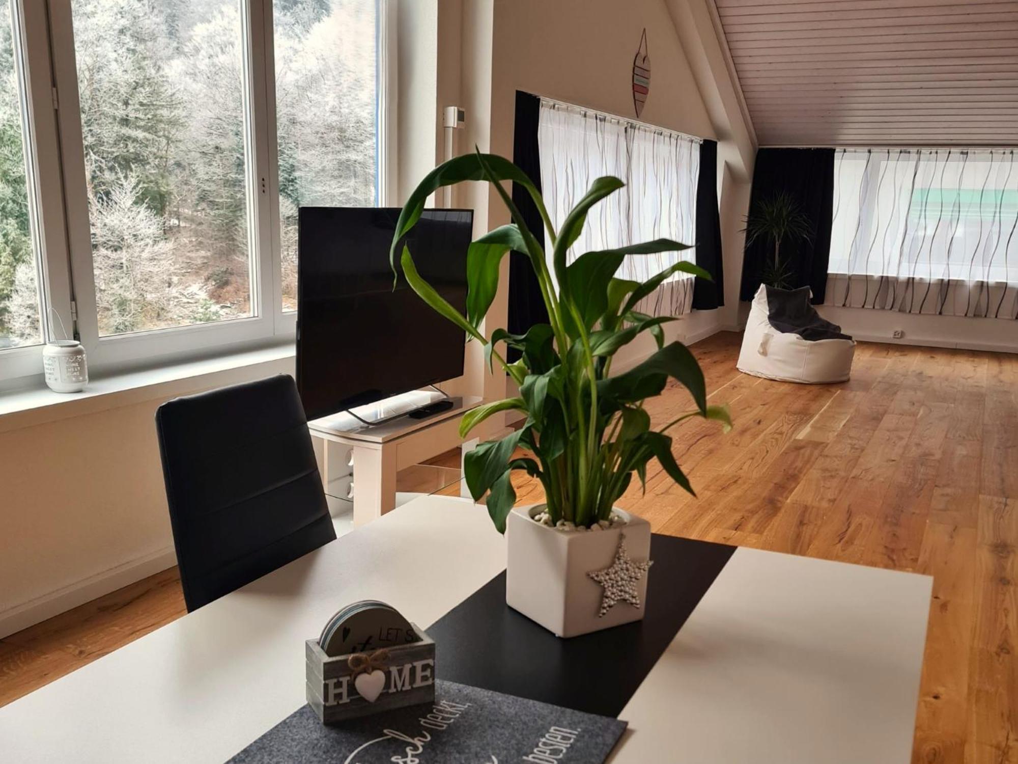 Muota River Loft & Muota Industry Apartment Near Stoos Muotathal Eksteriør bilde